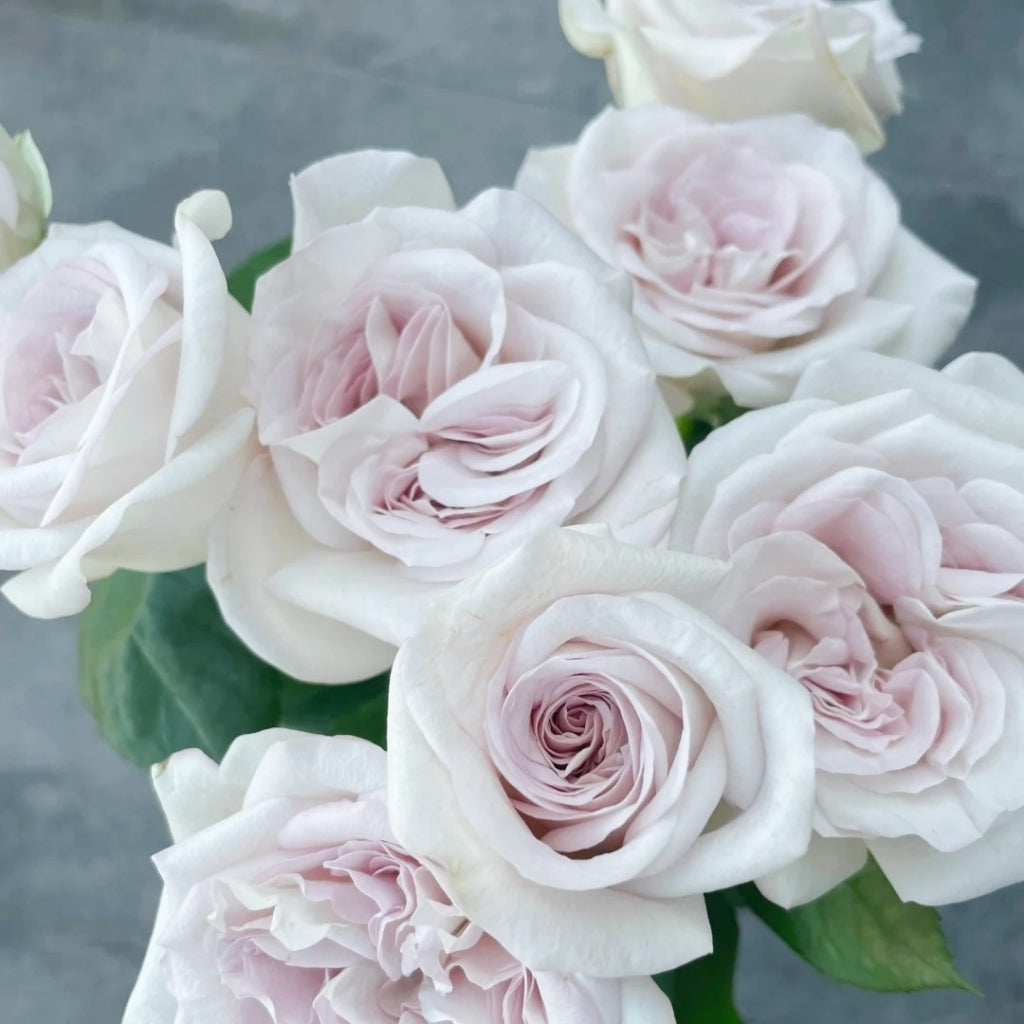 Silver Gemstone Rose