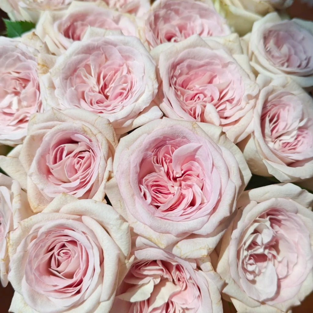 Silver Gemstone Rose