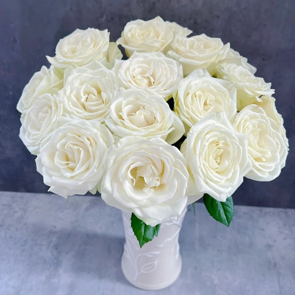 Snowstorm Roses Snowstorm Rose Plant | Pure White Cut Rose with 14+ Day Vase Life ...