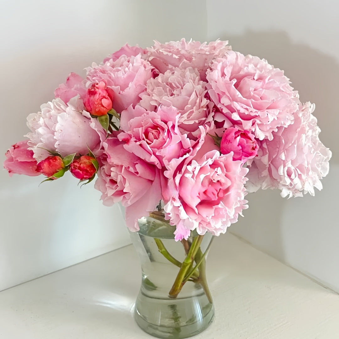 Sophie Rochas Rose