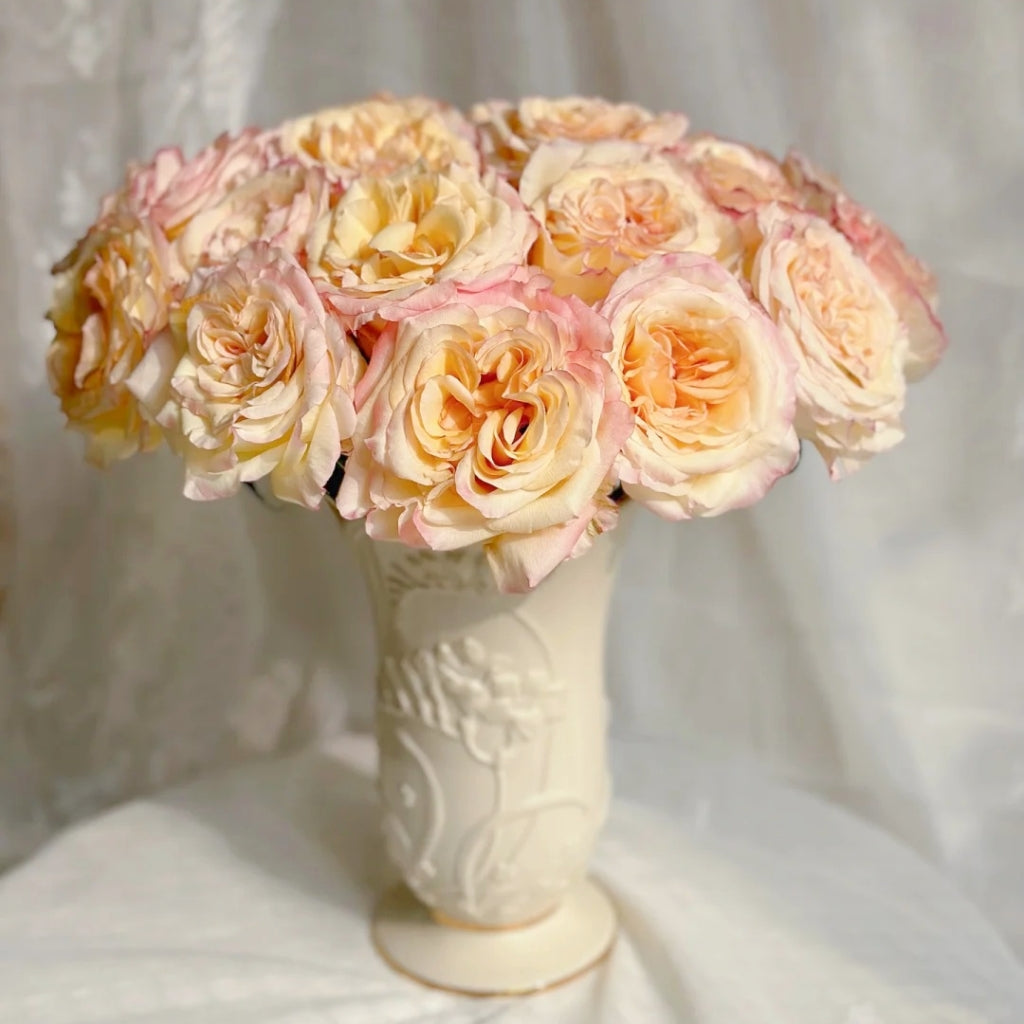 Stylist Rose