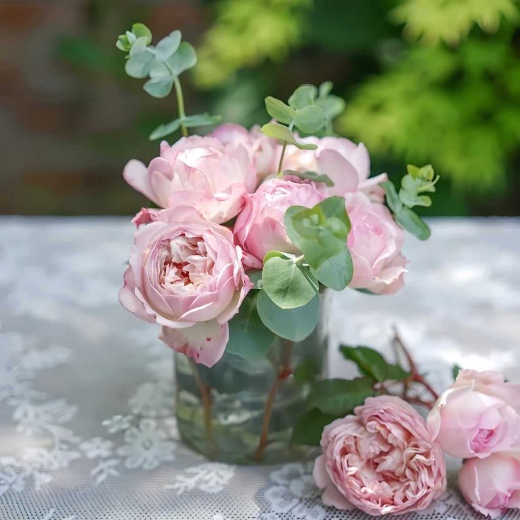 Sucre Rose