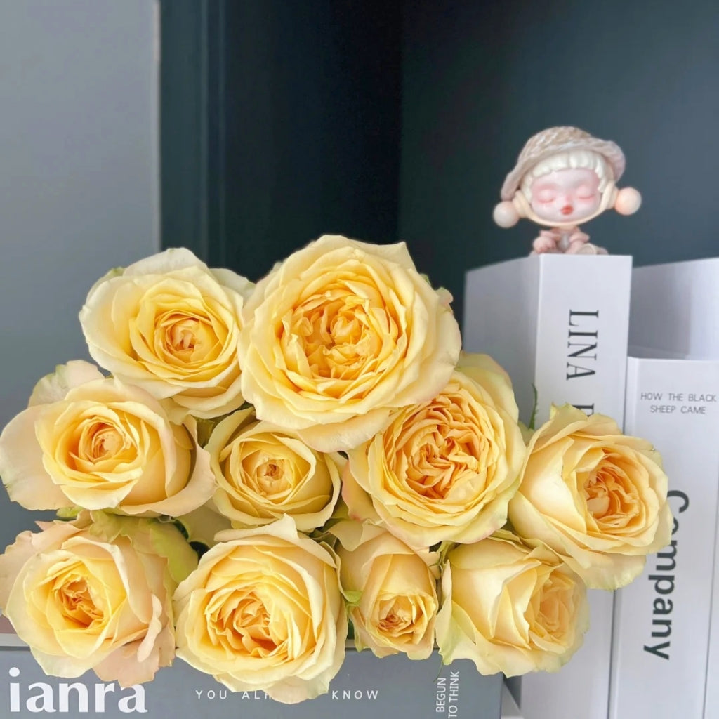 Summer Sunshine Rose