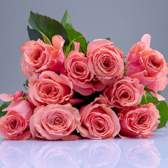 Superstition Rose
