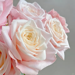Suplesse Rose