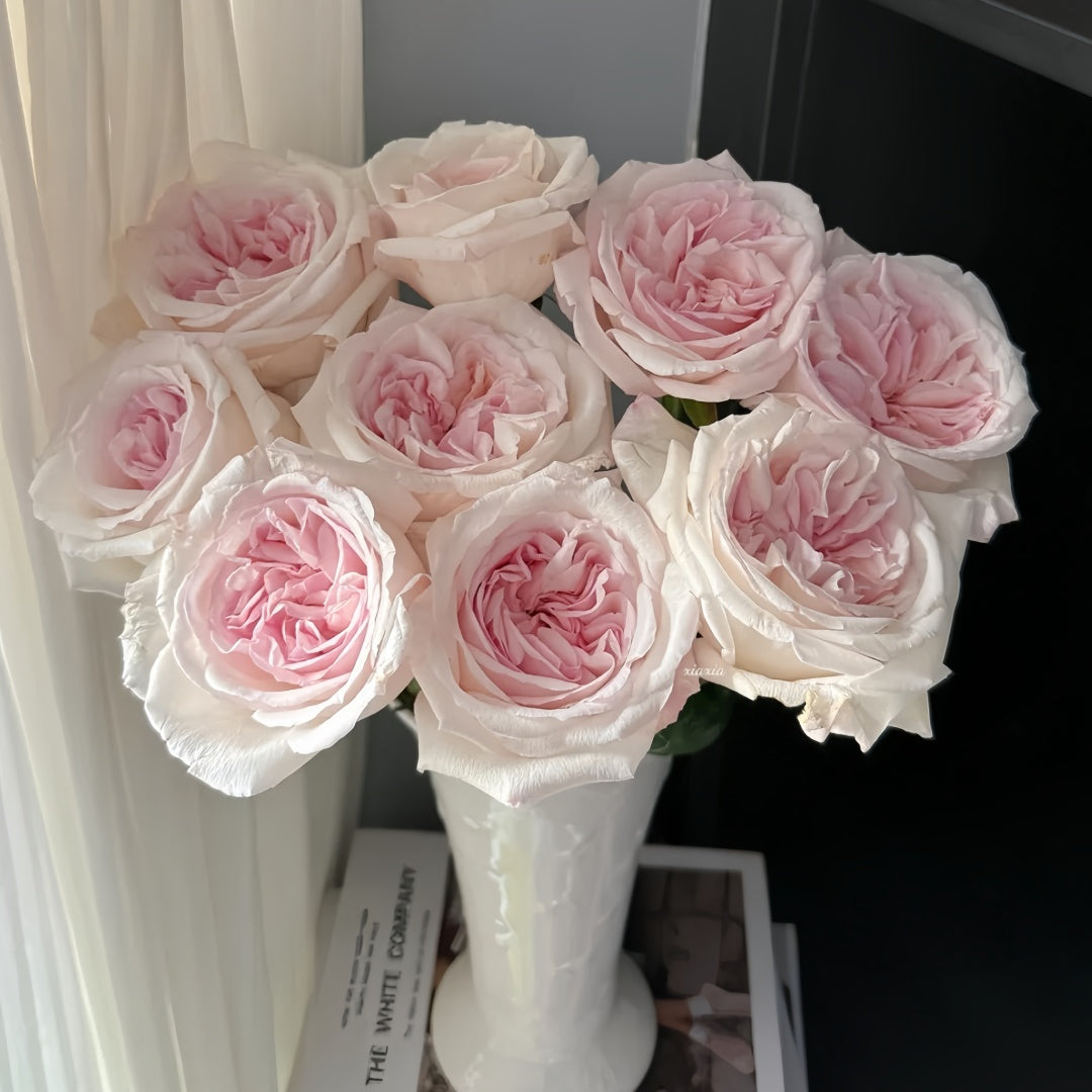 Swan Lake Rose