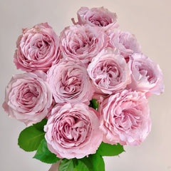 Sweet 4 Love Rose