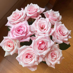 Sweet Lady Rose