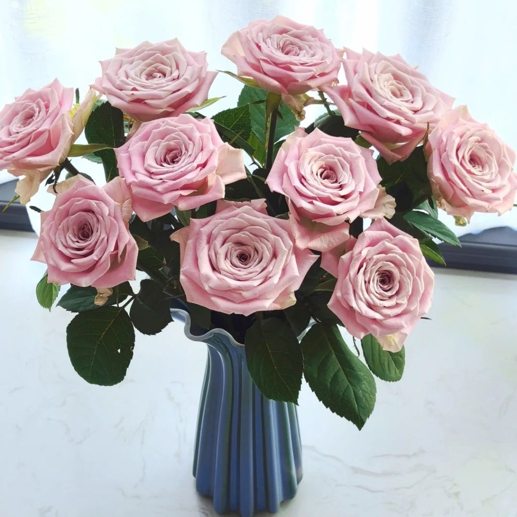 Sweet Lady Rose