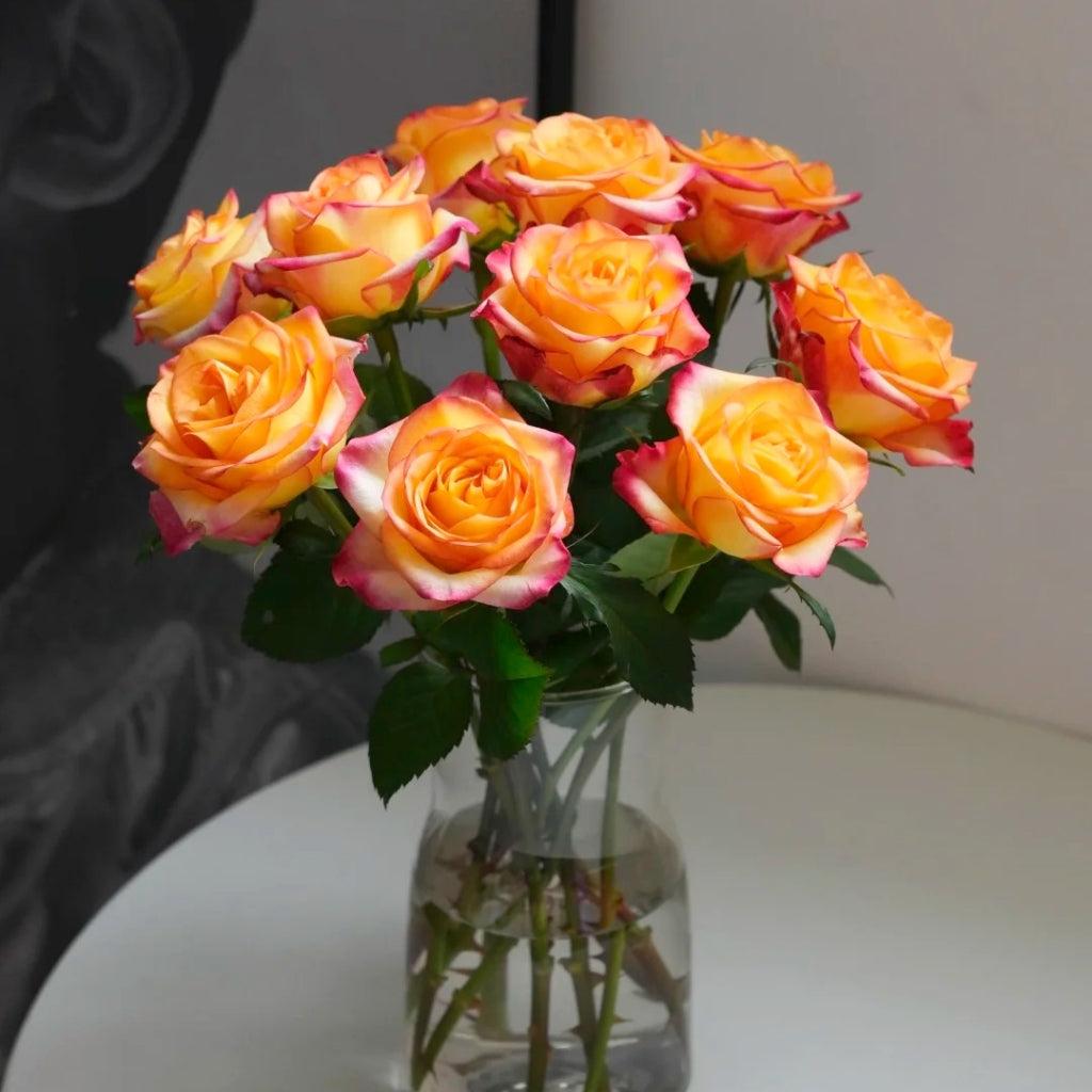 Tao Zhi Yao Yao Rose