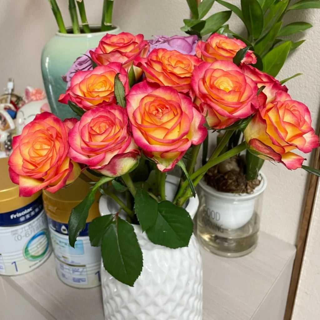 Tao Zhi Yao Yao Rose