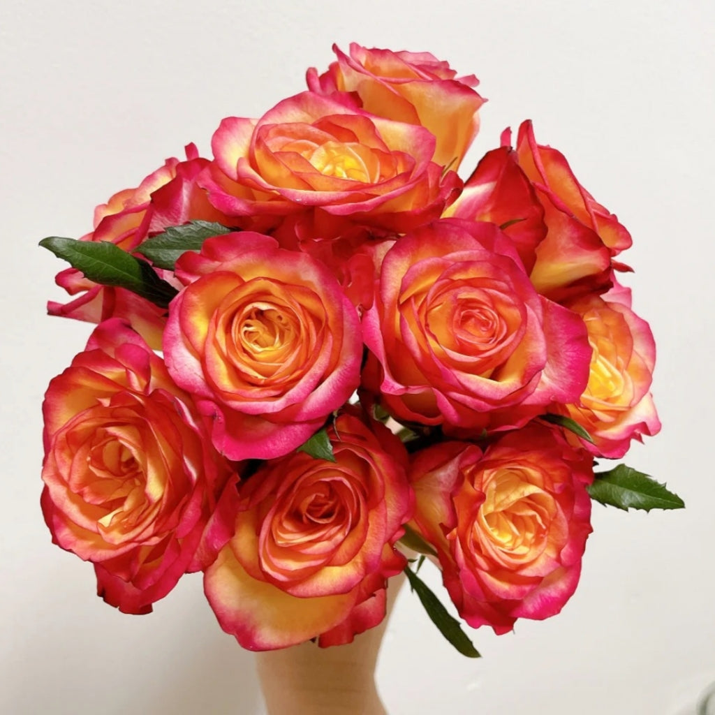 Tao Zhi Yao Yao Rose