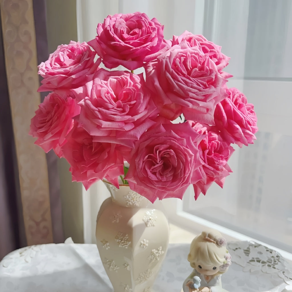 Tao Zhuo Lan Tian Rose