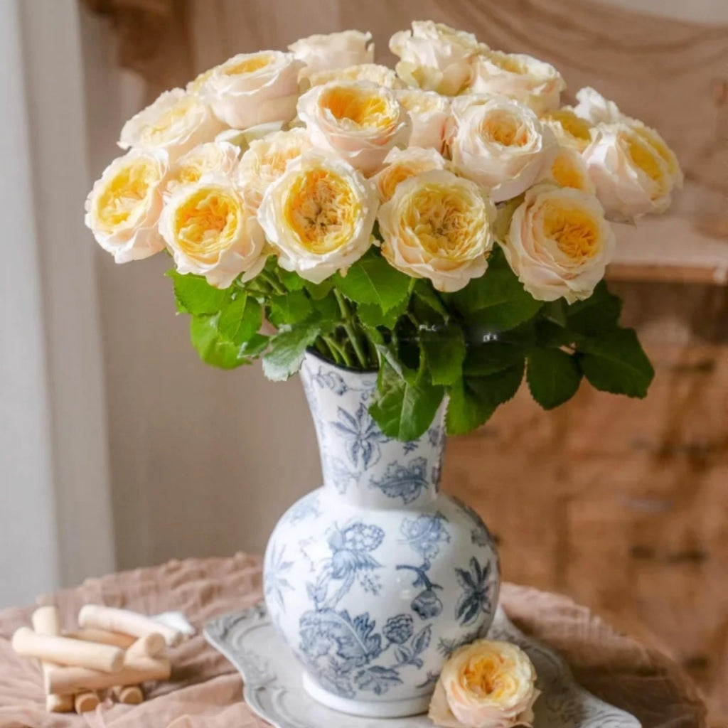 Teresa Rose Madame Gulya Rose