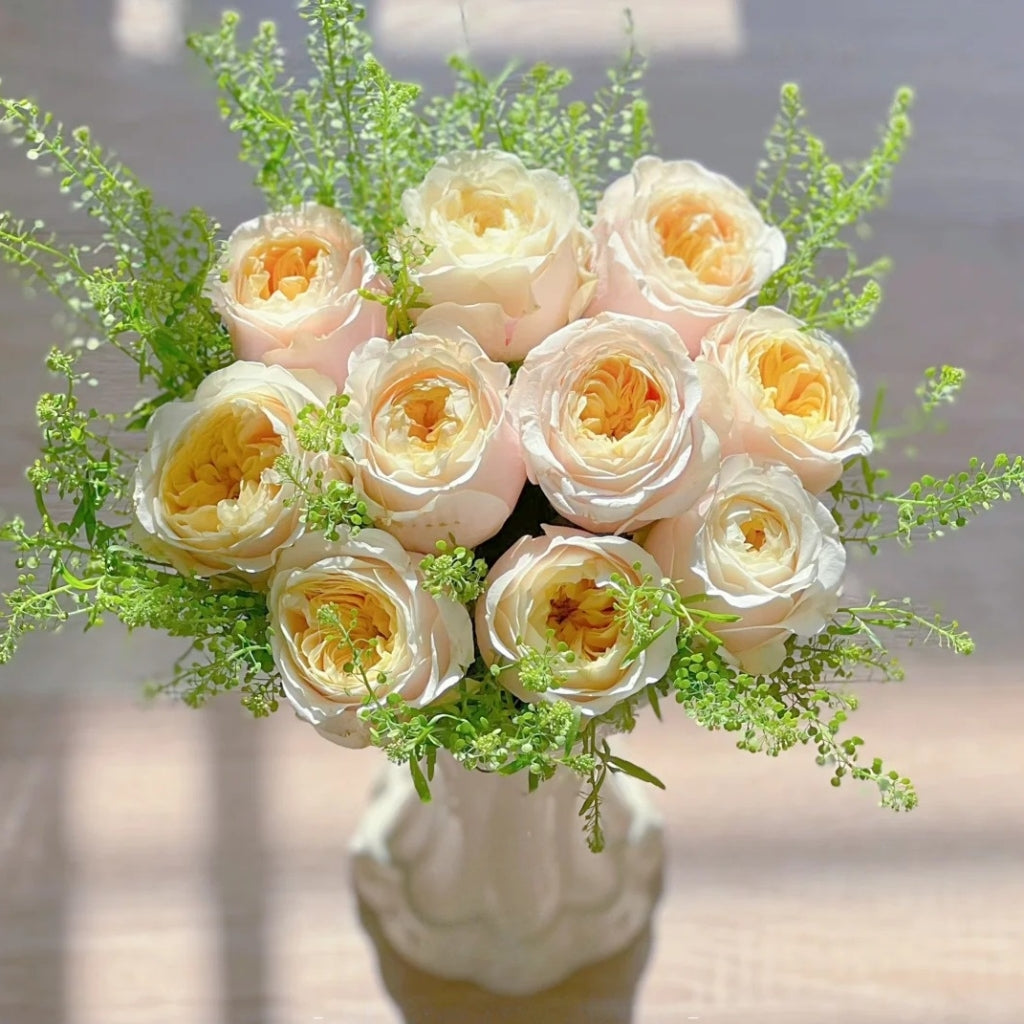 Teresa Rose Madame Gulya Rose