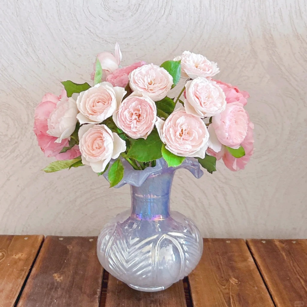 The Mill On The Floss Rose