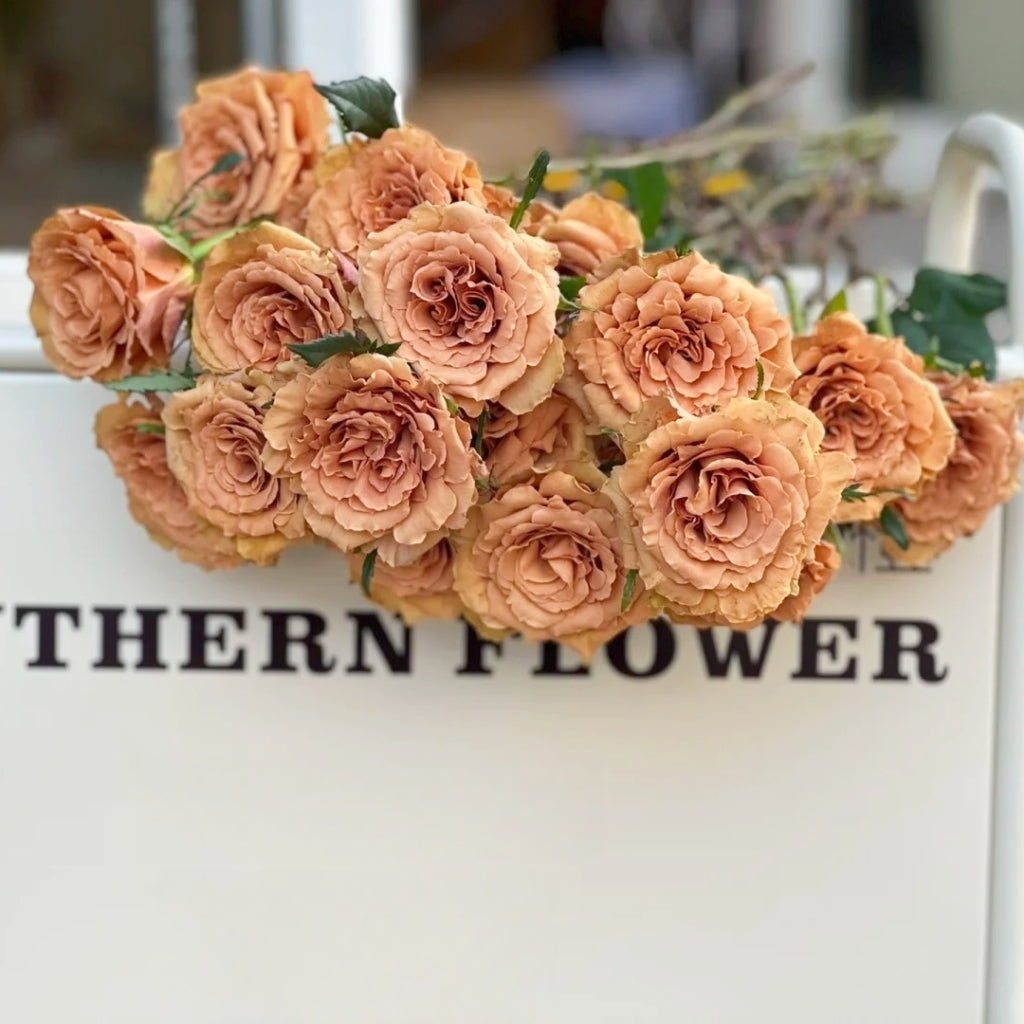 Toffee Rose