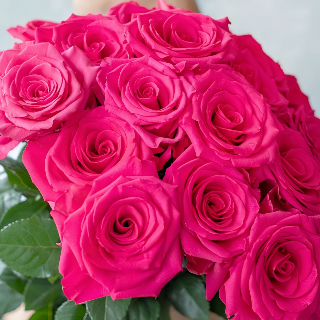 VIPink Rose