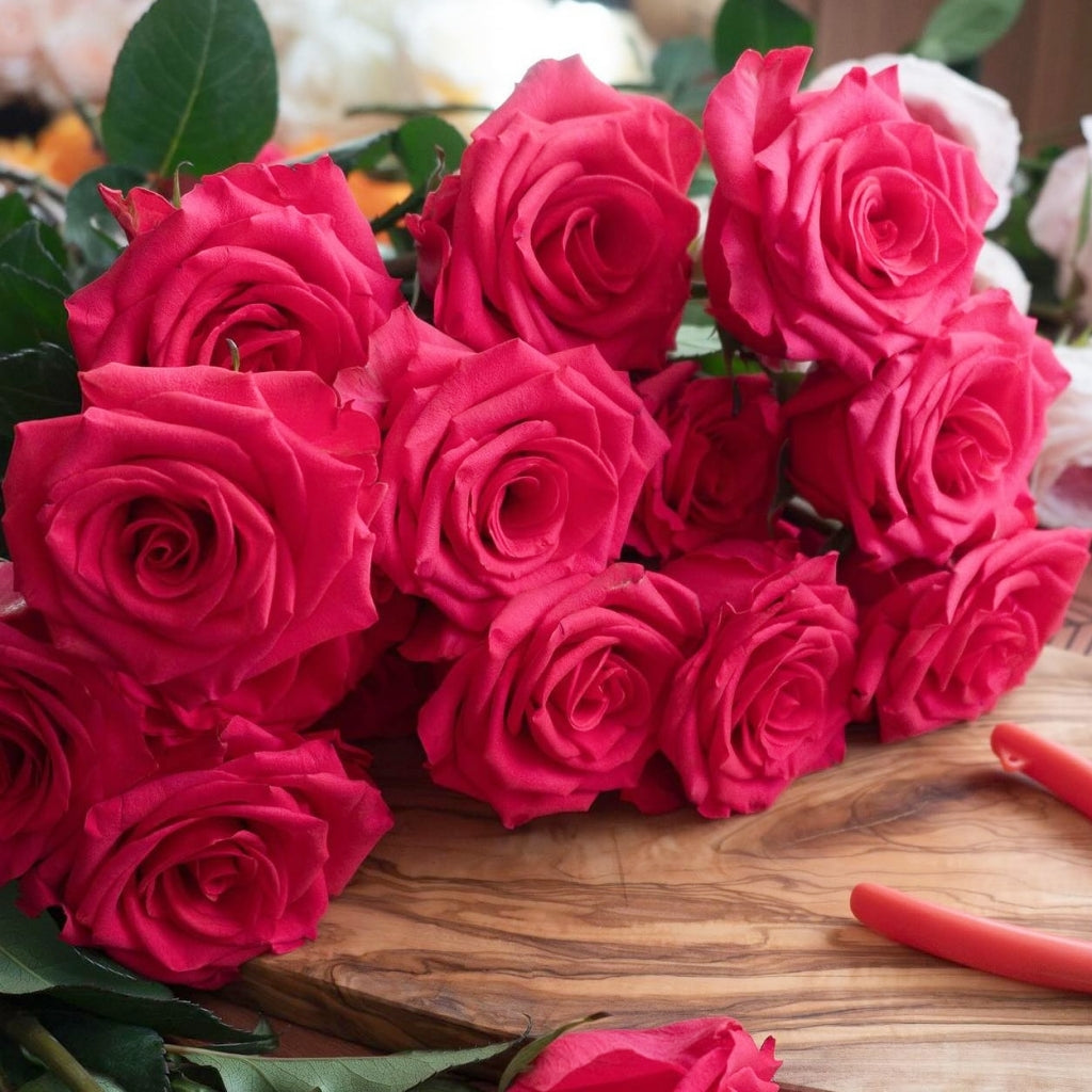 VIPink Rose