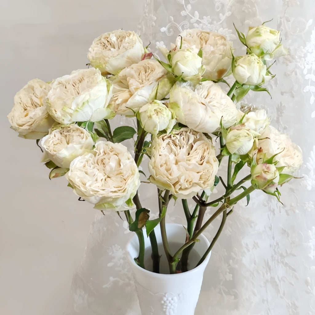 Victoria Wedding Rose