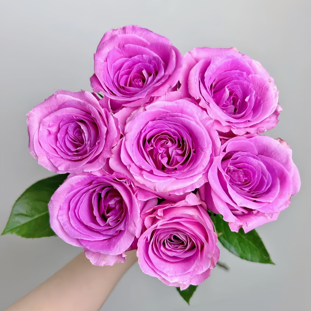 Water Game Rose