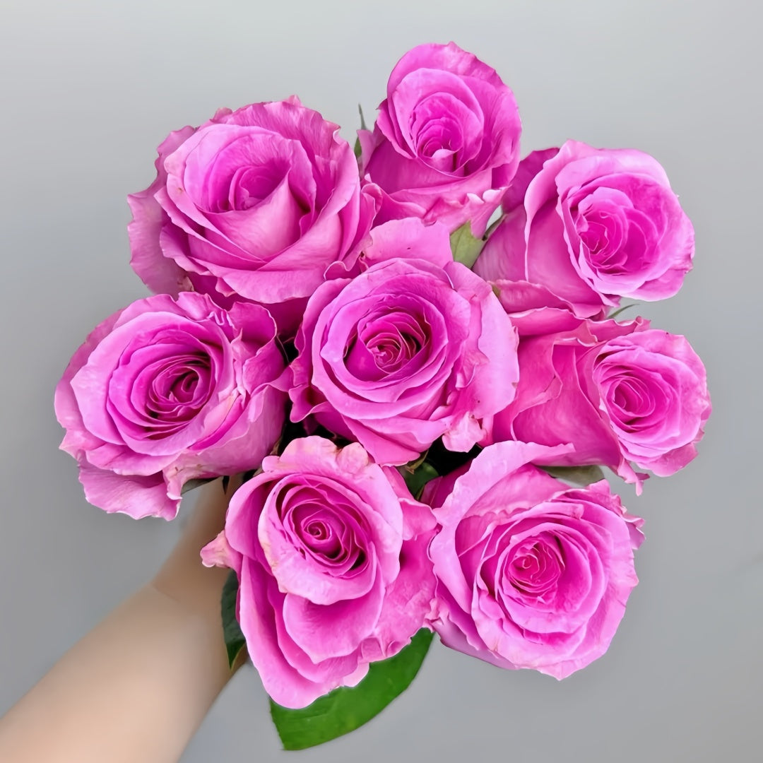 Water Game Rose