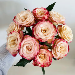 Watercolor Brush Rose