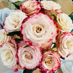 Watercolor Brush Rose