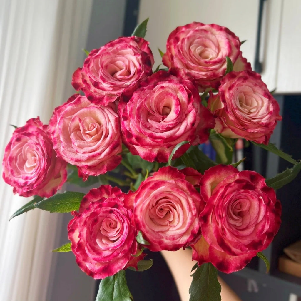 Watercolor Brush Rose