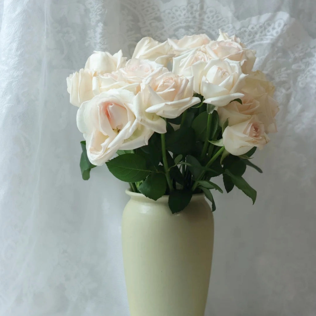 Jade Dew White Peach Rose