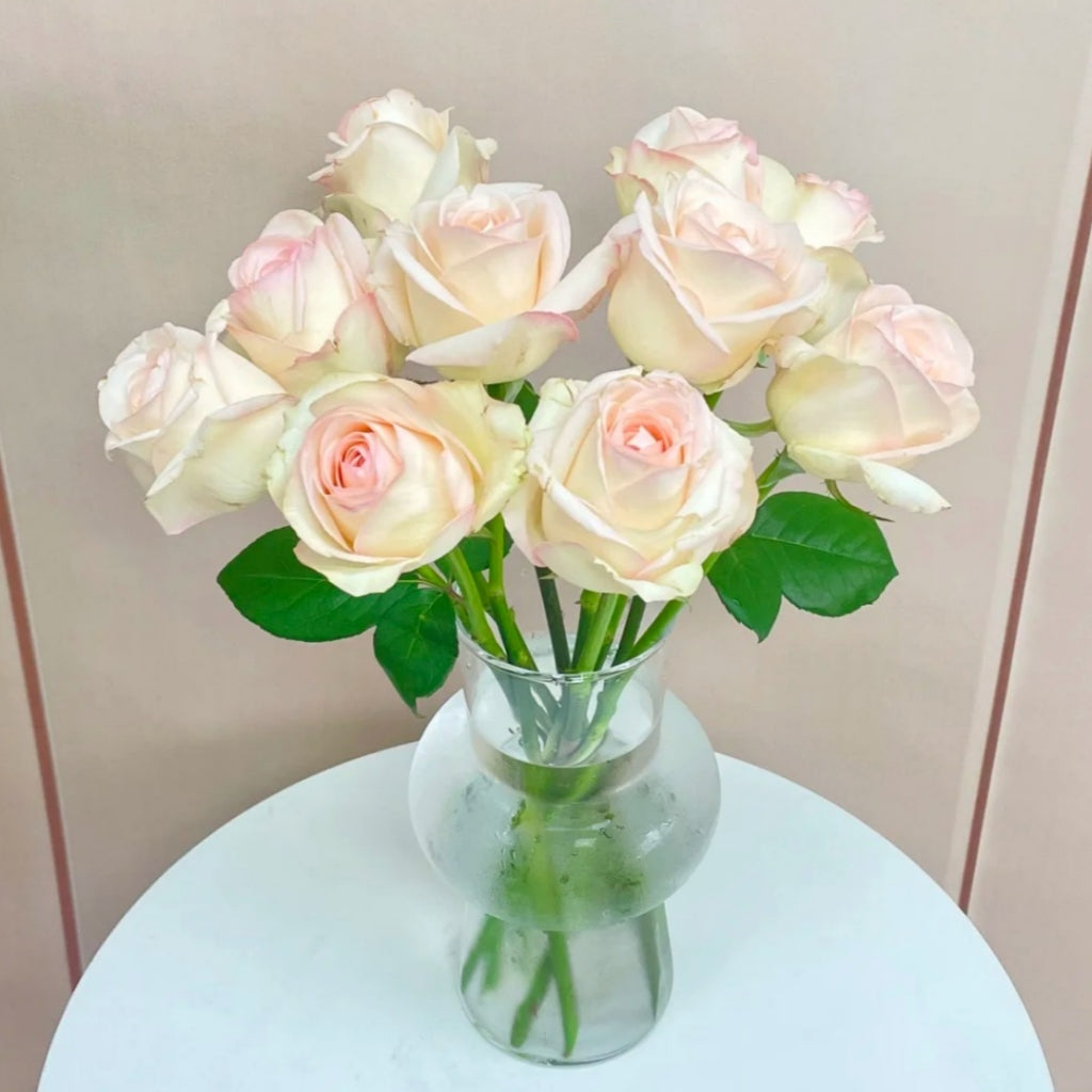 Jade Dew White Peach Rose