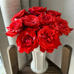 Wild Cat Rose