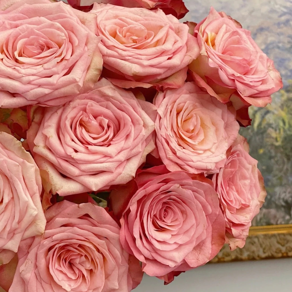 Xiaoxiang Rose