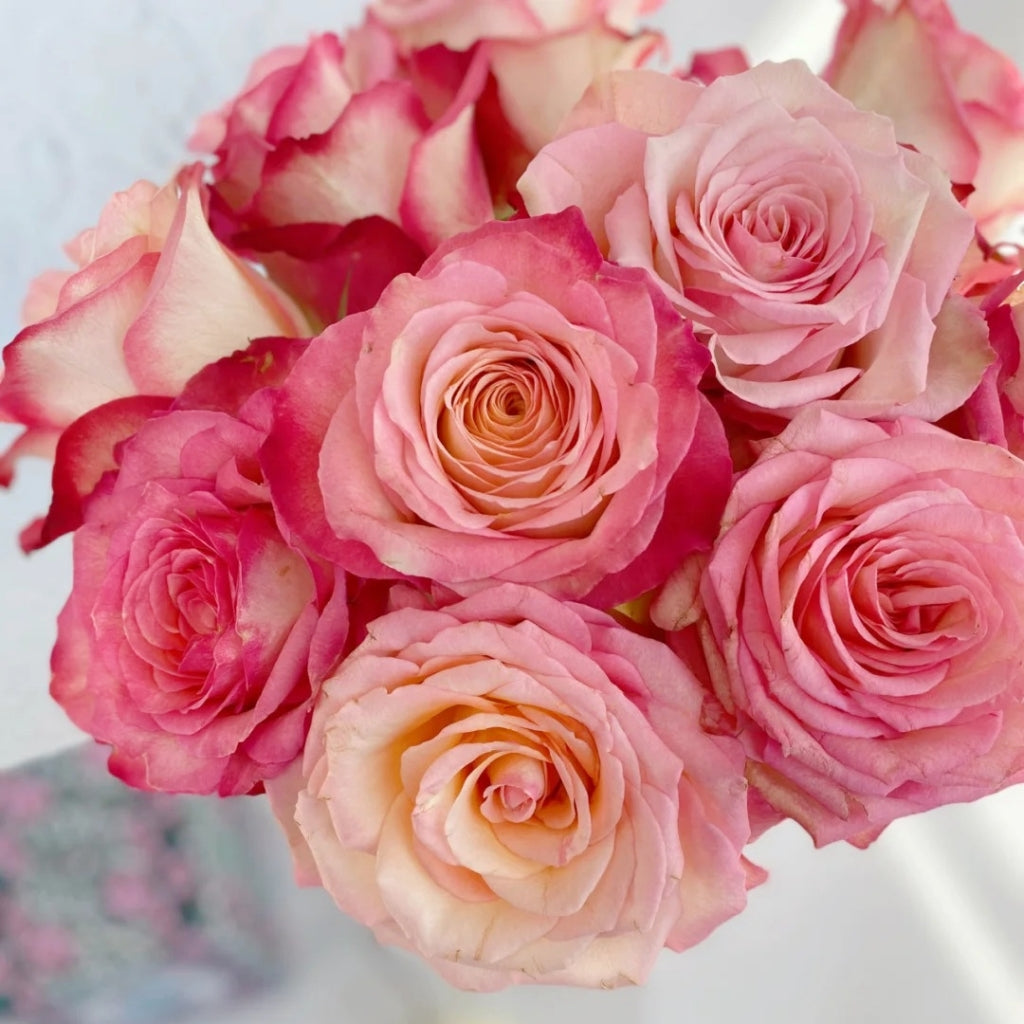 Xiaoxiang Rose