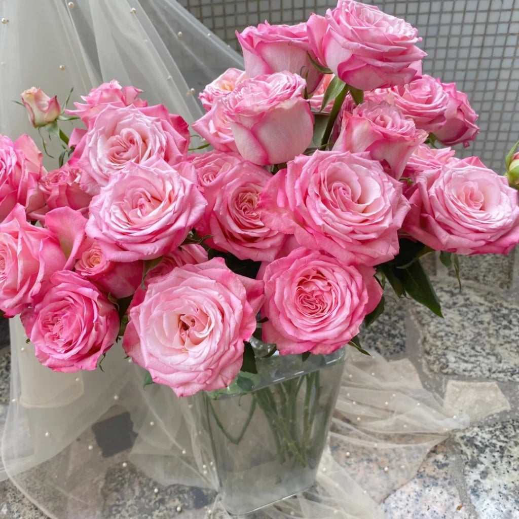 Xiaoxiang Rose