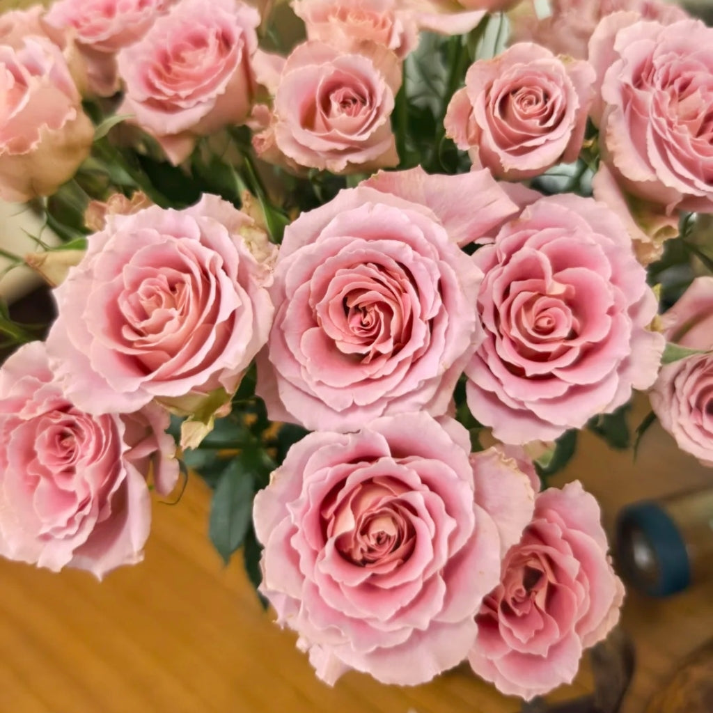 Xiyao Rose
