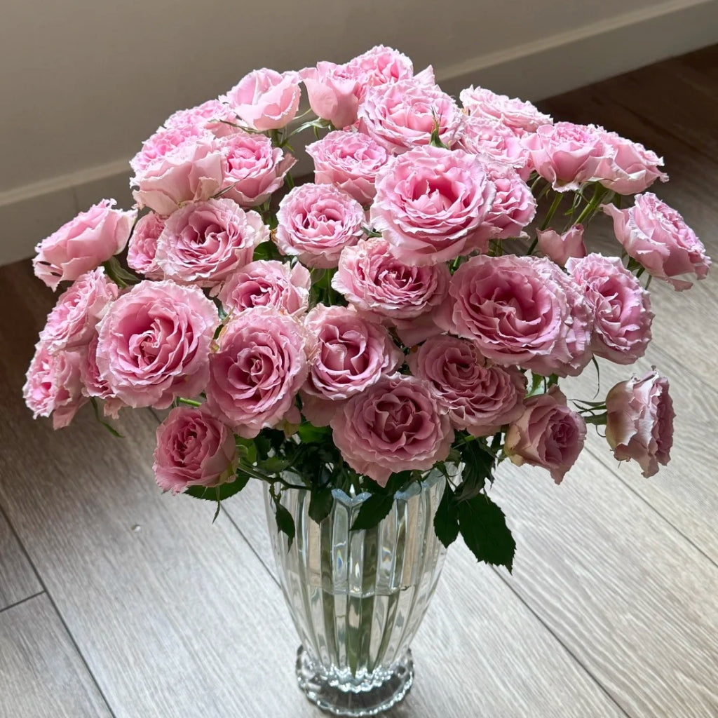 Xiyao Rose