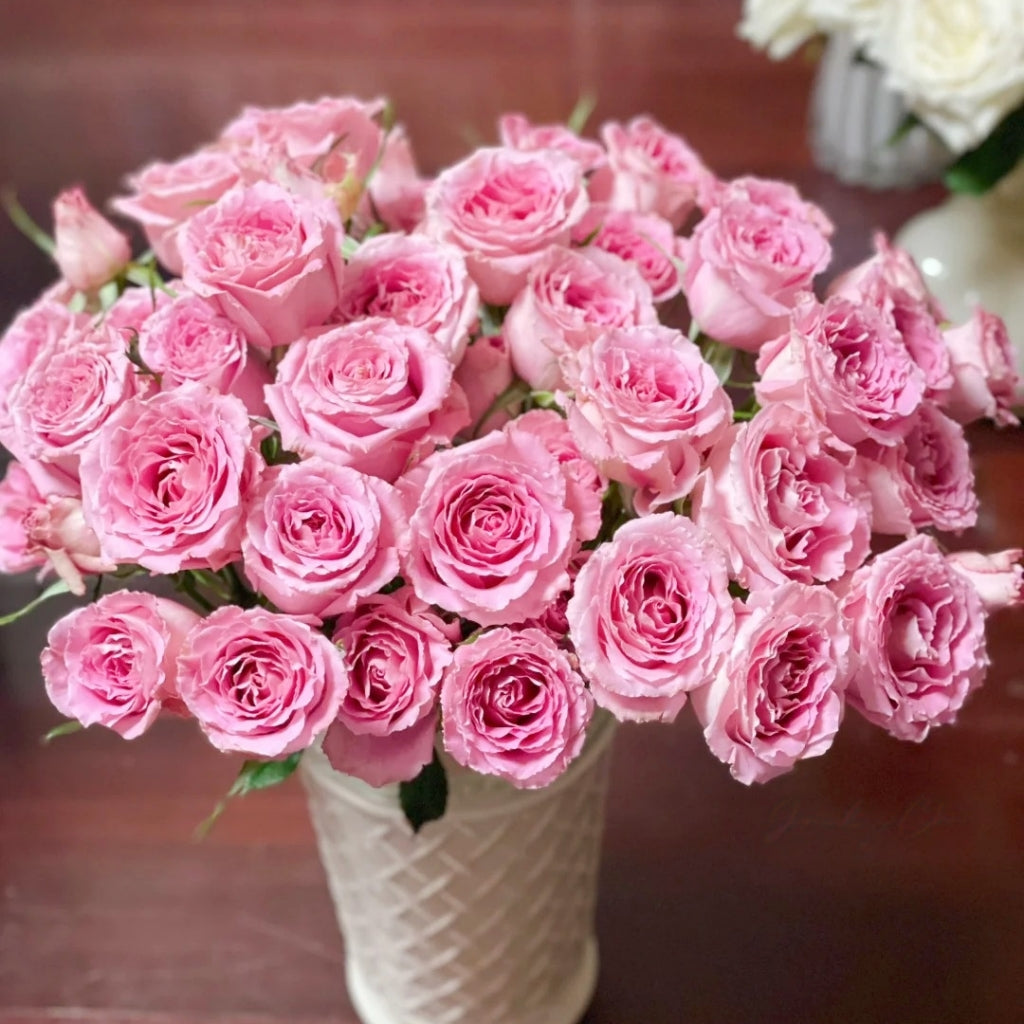 Xiyao Rose