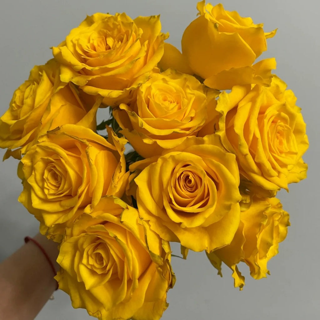 Yellow Breeze Rose