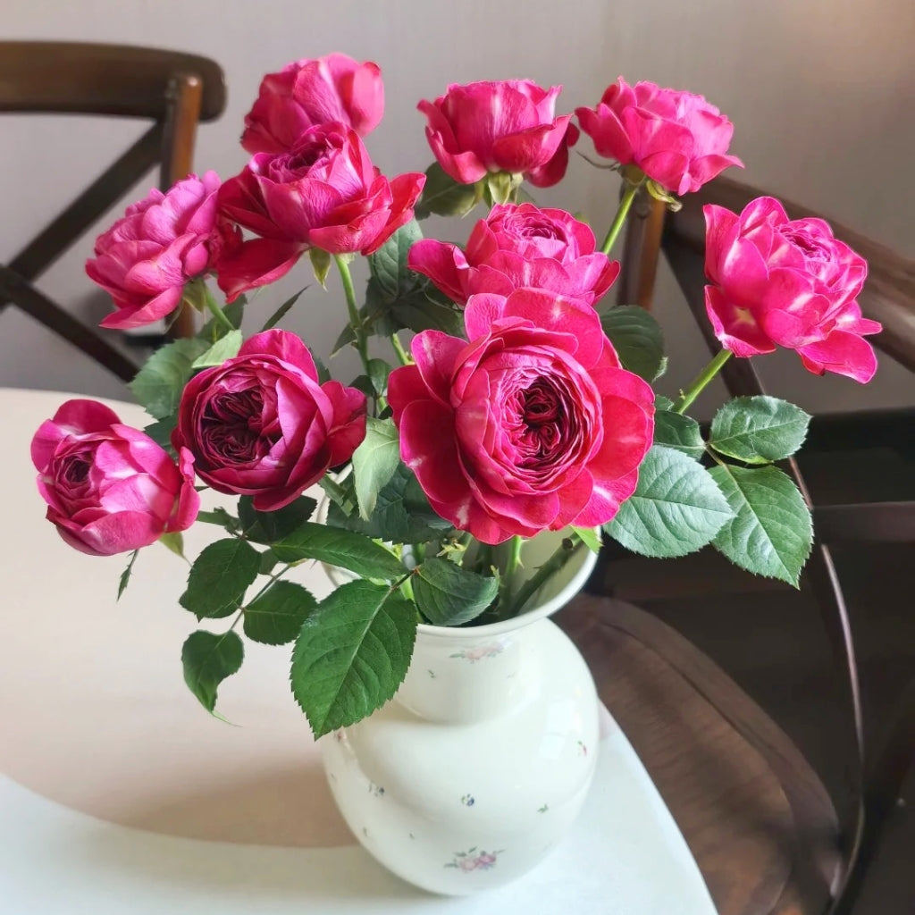 Yingchun Rose