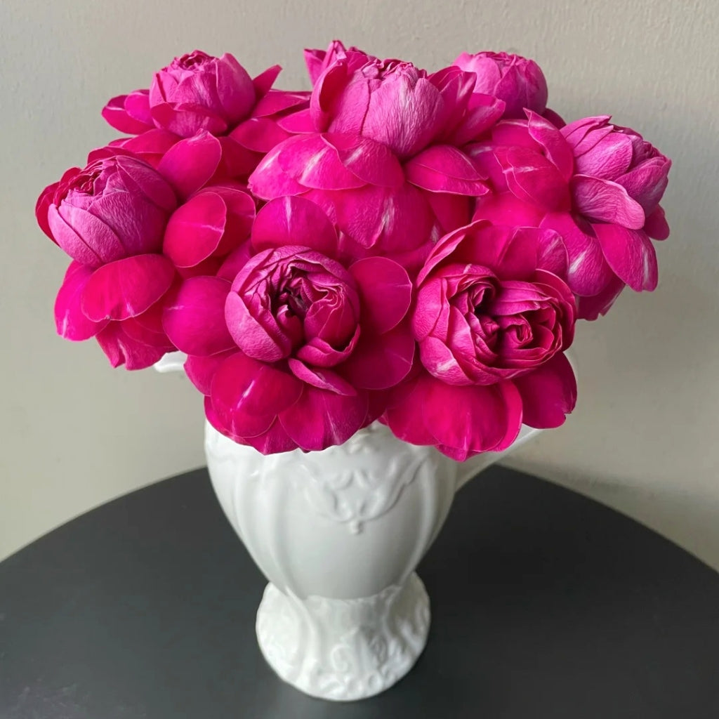 Yingchun Rose