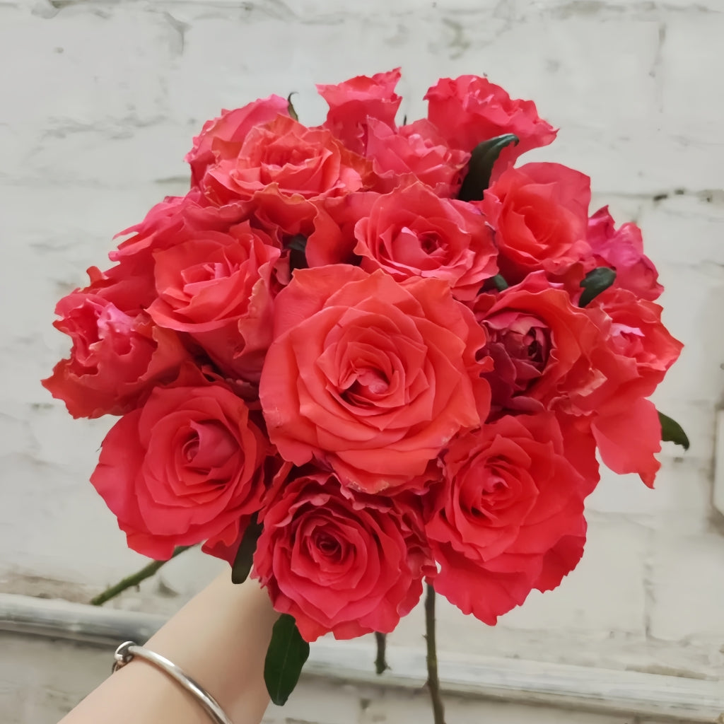 Yuhaitang Rose