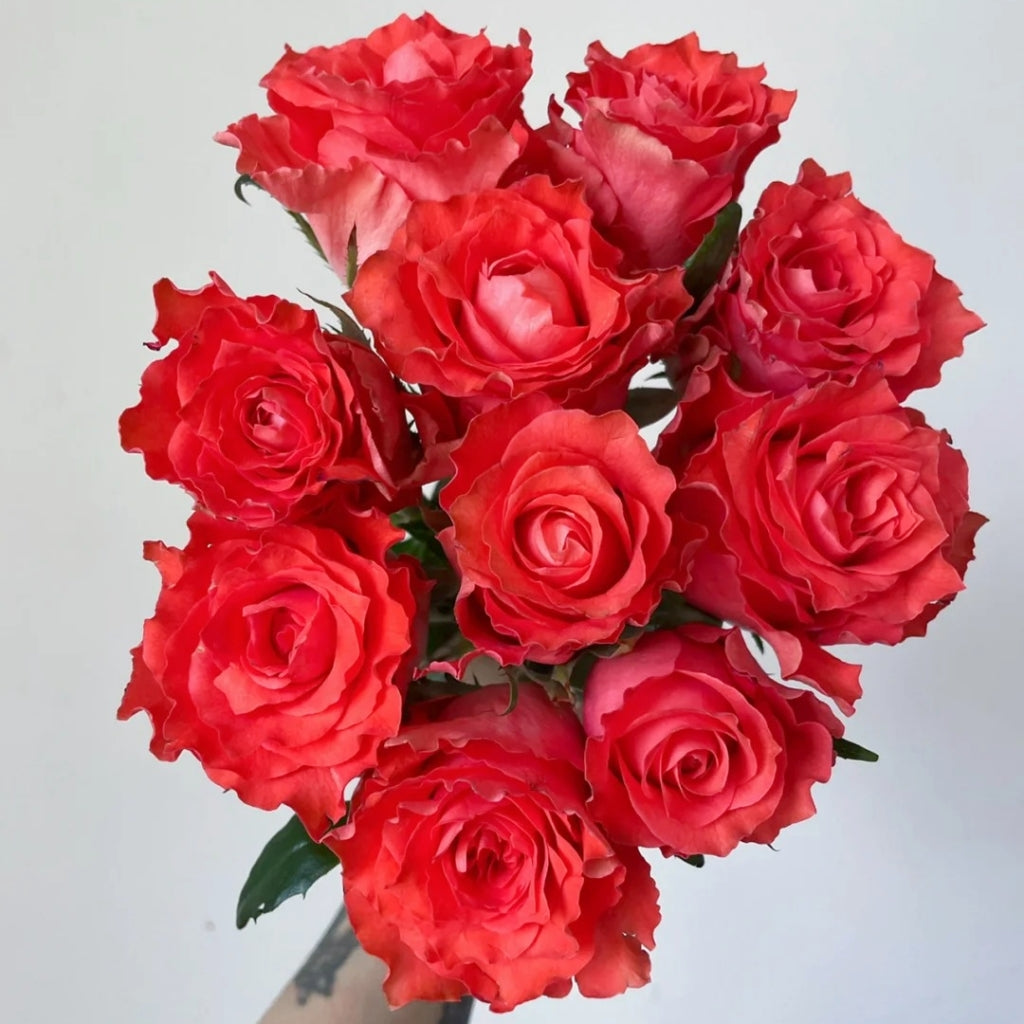 Yuhaitang Rose