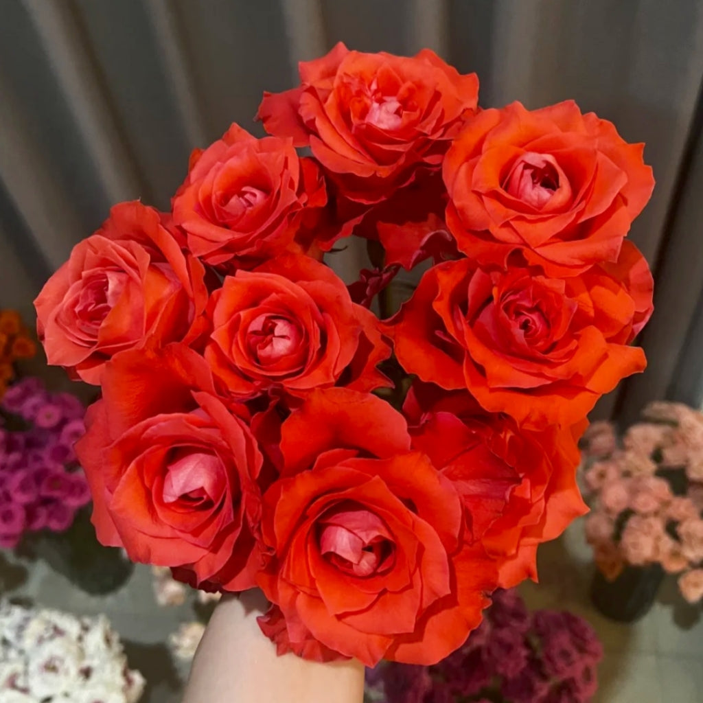 Yuhaitang Rose
