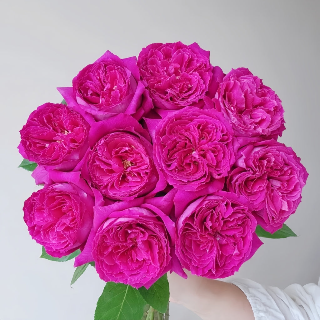 Yuji Rose