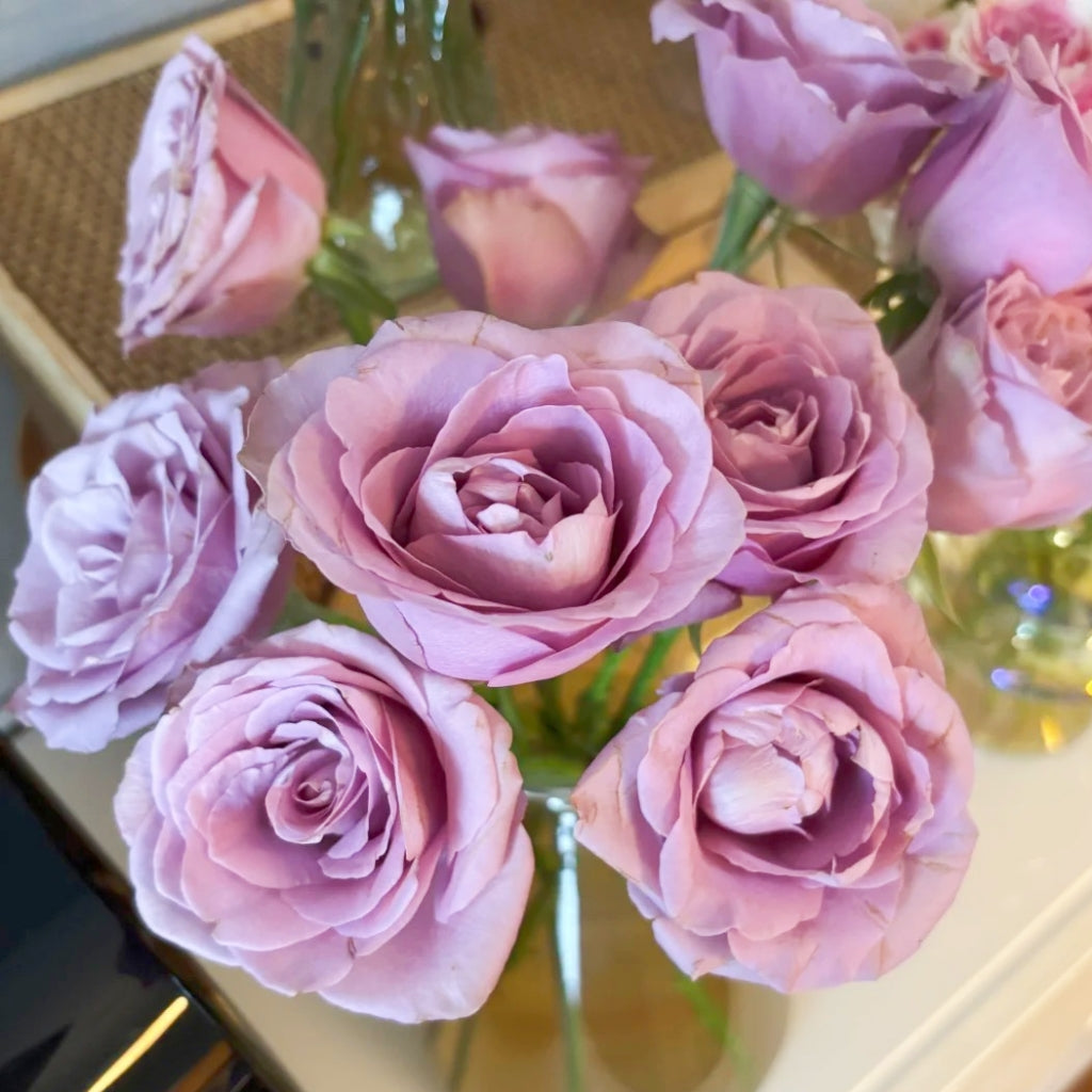 Zidi Rose