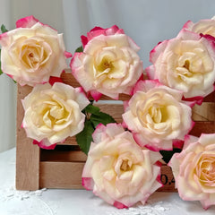Zui Hongyan Rose
